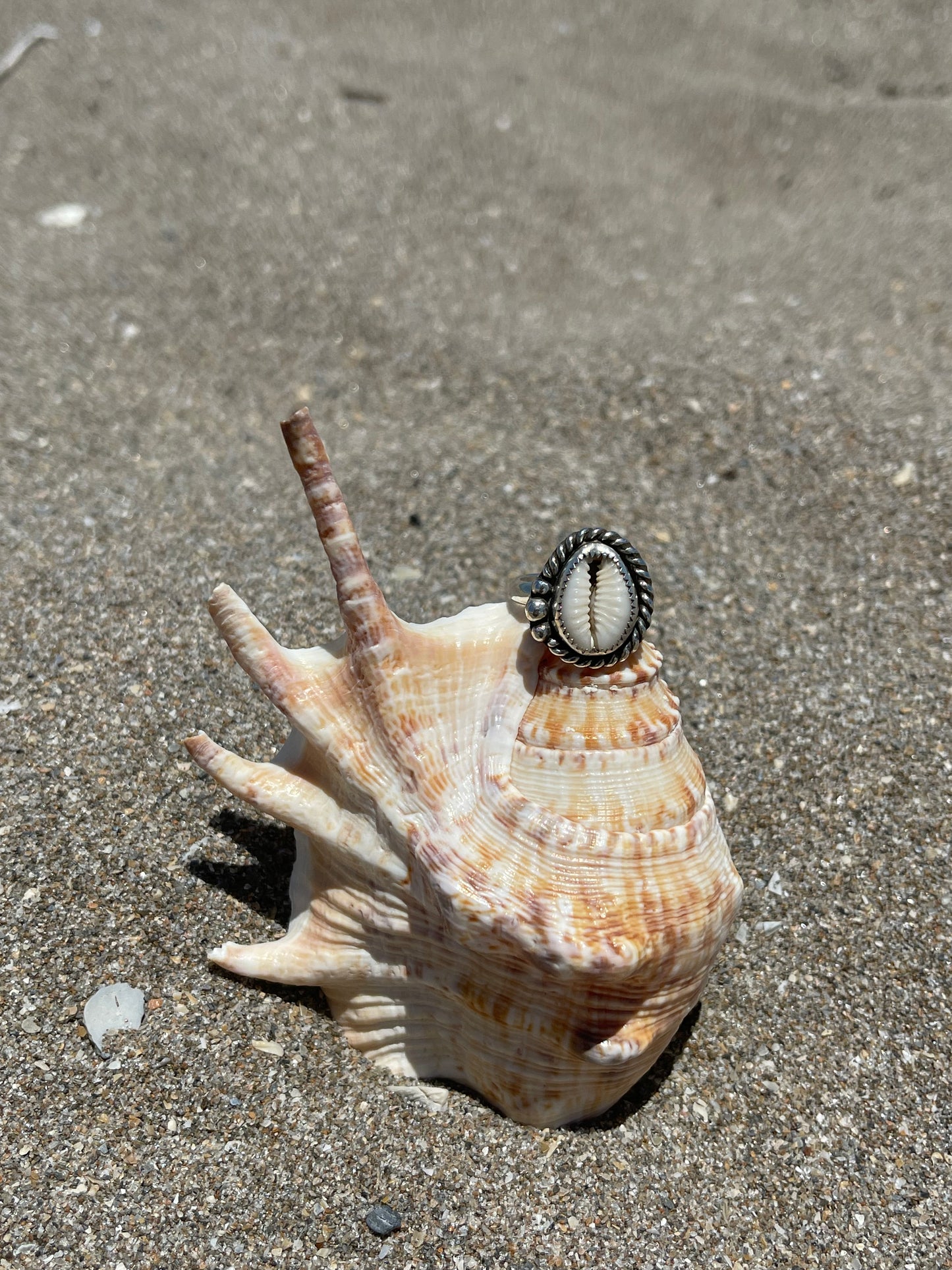 Natural Cowrie Shell Ring Size 7.5