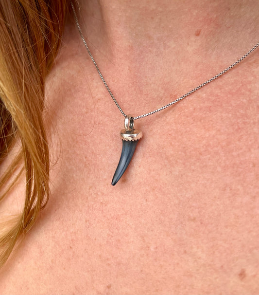 Fossilized Shark Tooth Necklace