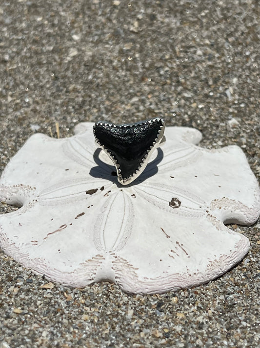 Fossilized Shark Tooth Ring Size 7