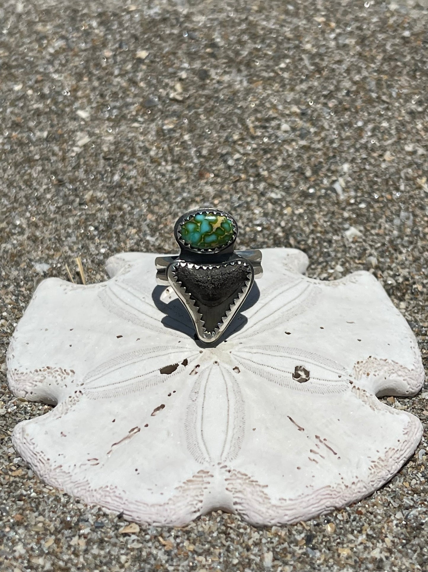 Fossilized Shark Tooth Ring Size 7