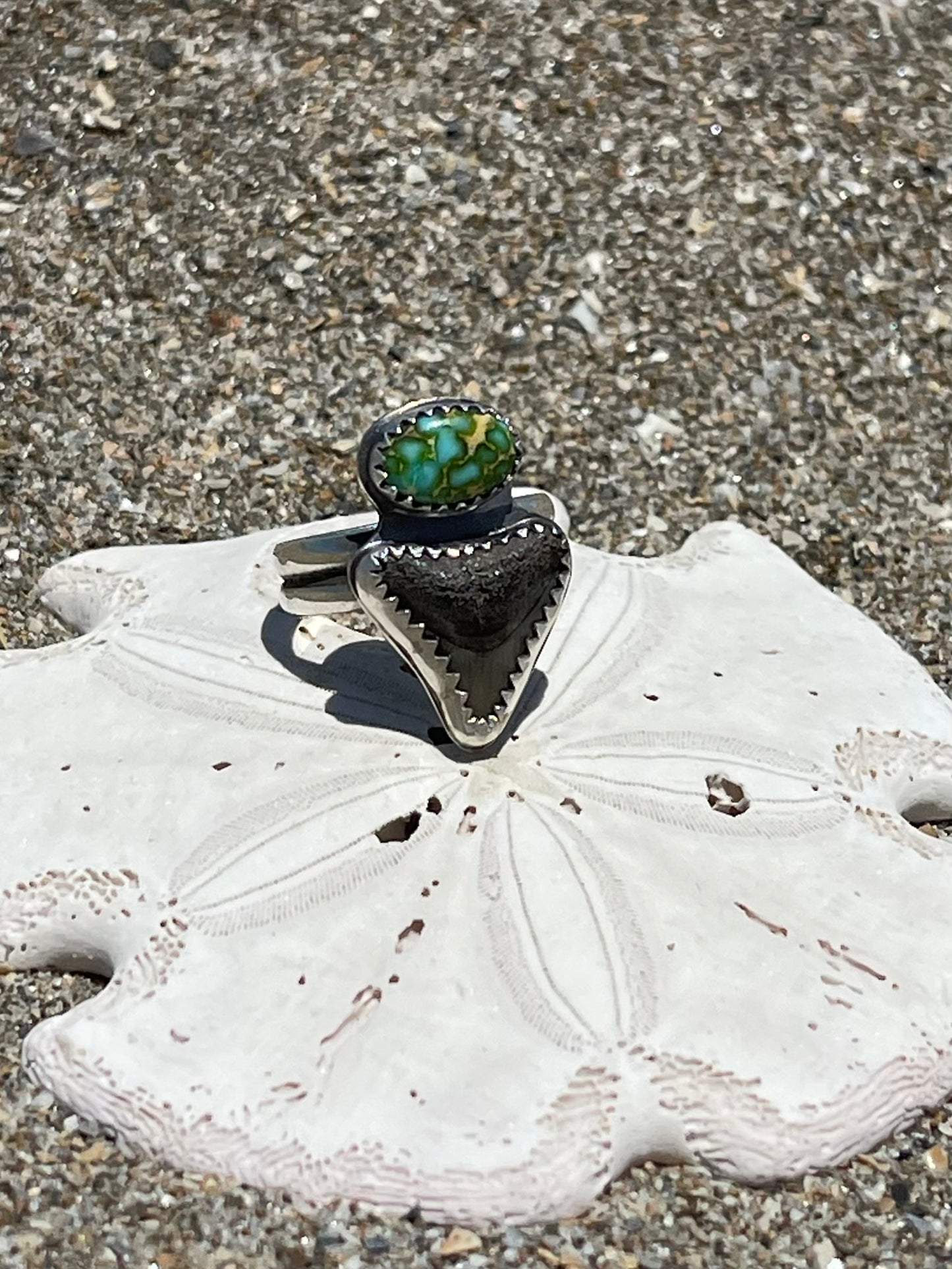 Fossilized Shark Tooth Ring Size 7