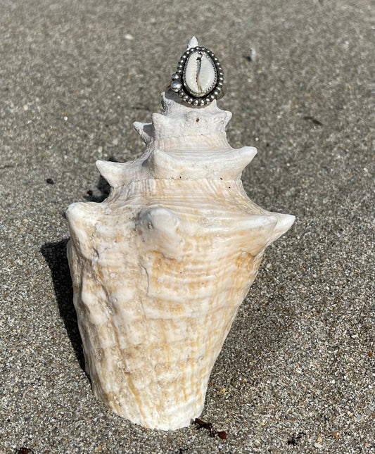 Natural Cowrie Shell Ring Size 8