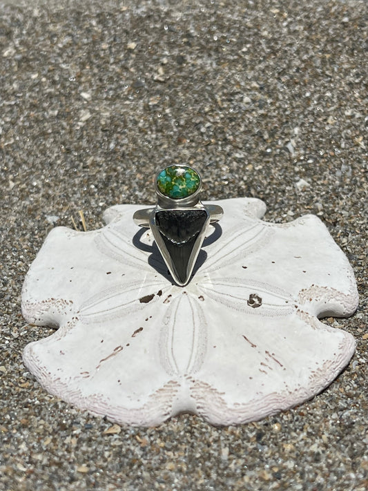 Fossilized Shark Tooth Ring Size 7