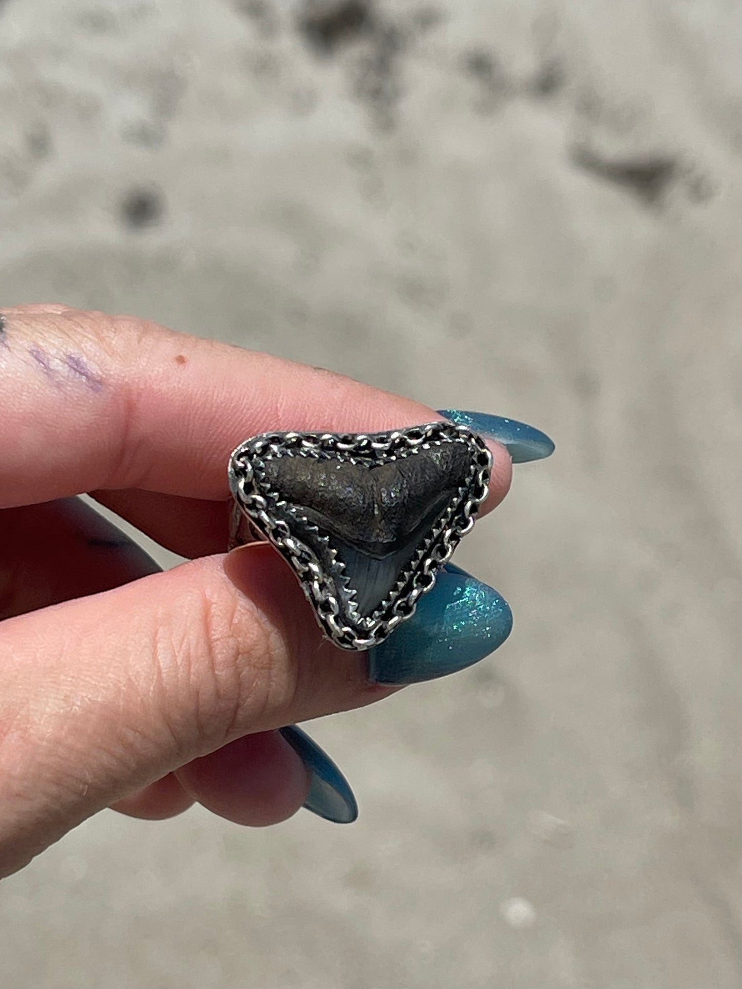Fossilized Shark Tooth Ring Size 8