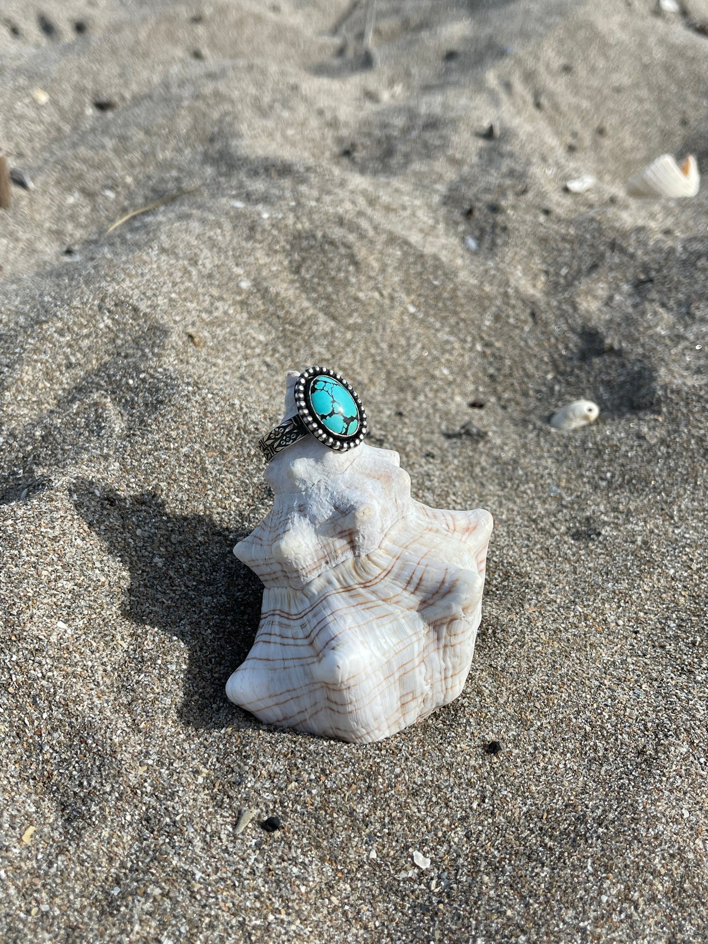 Turquoise Ring Size 12