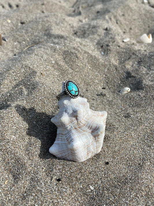 Turquoise Ring Size 12