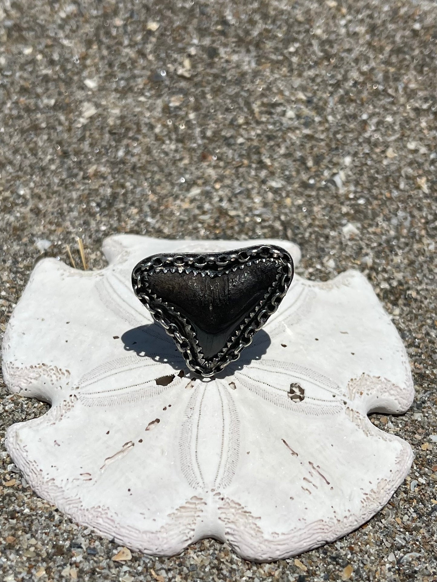 Fossilized Shark Tooth Ring Size 8