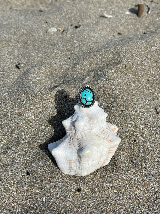 Turquoise Ring Size 12