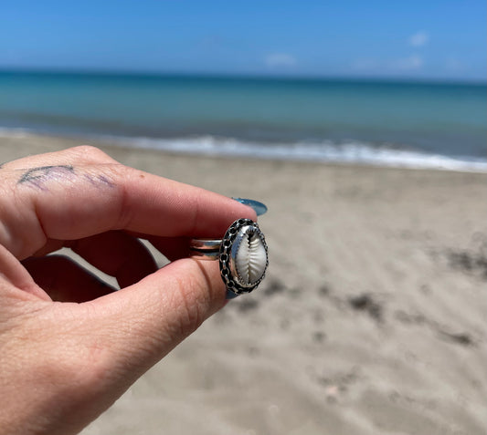 Natural Cowrie Shell Ring Size 6