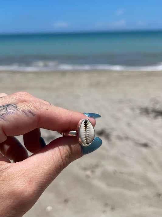 Natural Cowrie Shell Ring Size 7