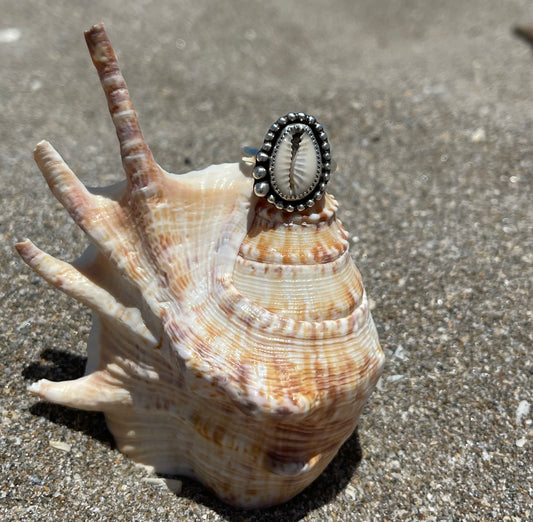 Natural Cowrie Shell Ring Size 7.5