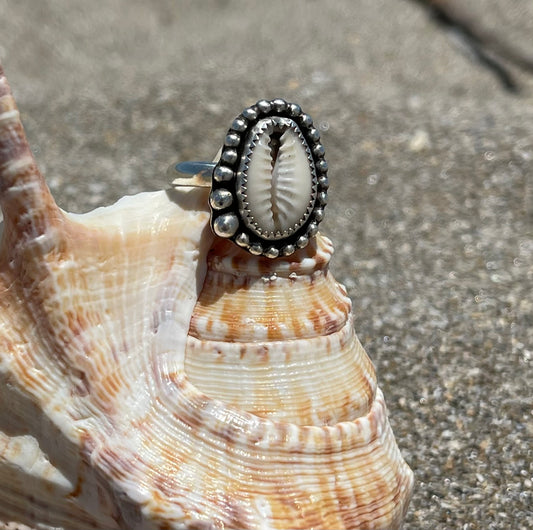 Natural Cowrie Shell Ring Size 7.5
