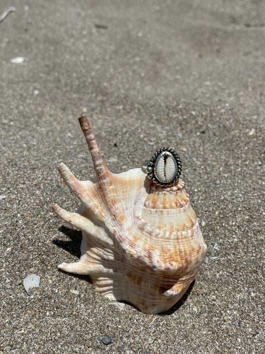 Natural Cowrie Shell Ring Size 7.5