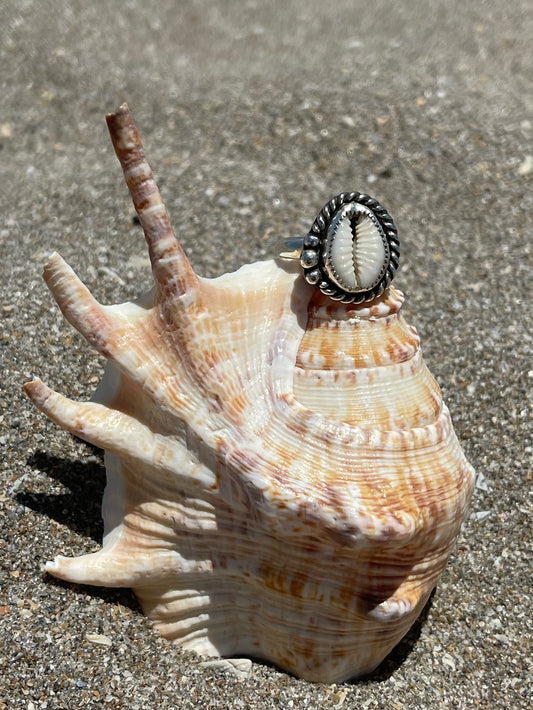Natural Cowrie Shell Ring Size 7.5