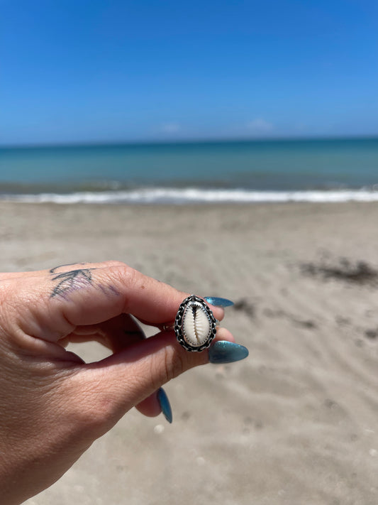 Natural Cowrie Shell Ring Size 8